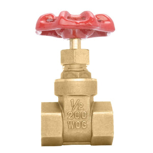 253006 image 1