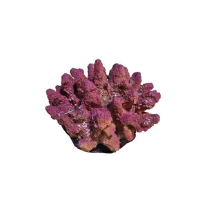 7453087840459 image 1