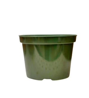 PLTSG8 image 1
