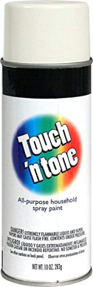 TOUCH 'N TONE  GLOSS WHITE 10.OZ - 070798552746