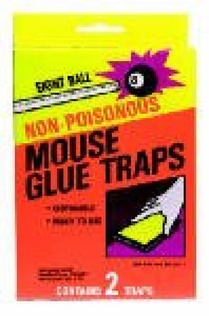 MOUSE GLUE TRAP - 076706002884