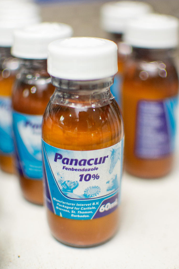 PANACUR SUSPENSION 10% 60ML - 091595900721