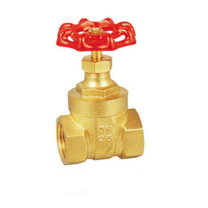 1" GATE VALVE - 3091603