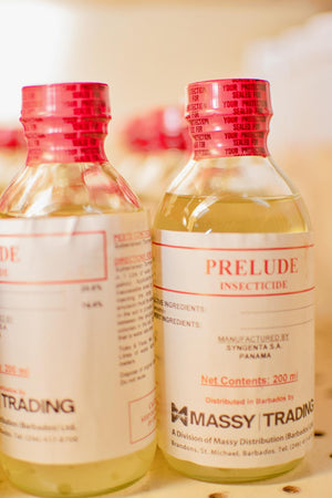 PRELUDE 200ML - NO TAX - 871232841187