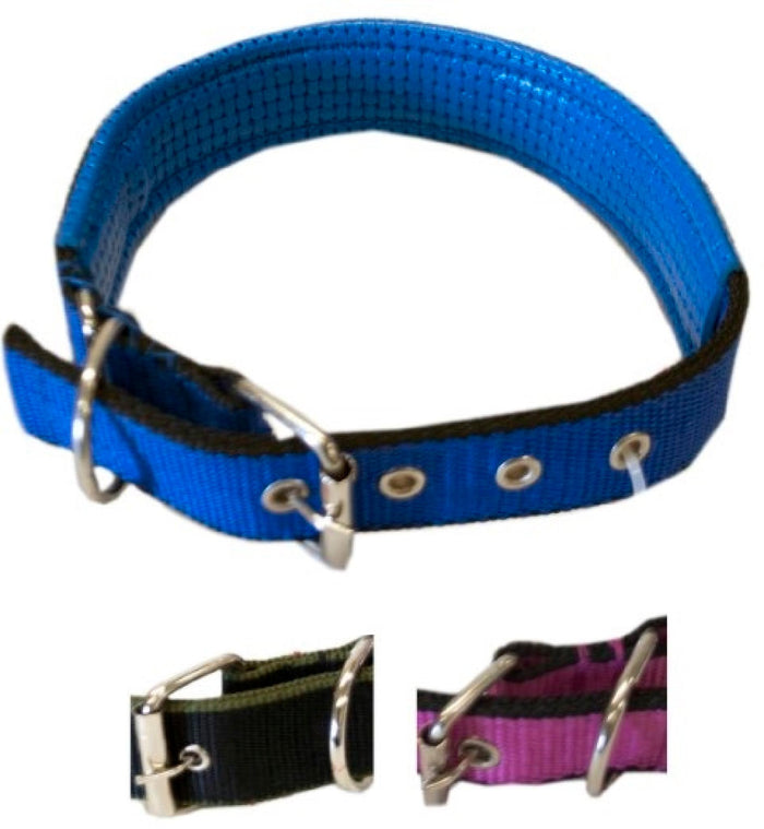 DOG COLLAR W/NECK PADDING #30280-MX190 ASSORT. - 874619302806