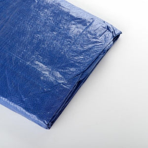 TARPAULIN BLUE 6 X 8 - 875960005019