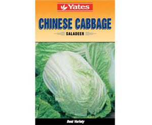 CHINESE CABBAGE SALADER - 9310428382444