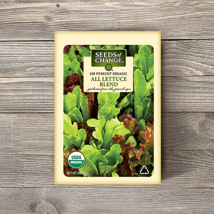 LETTUCE - SALAD MIX - 9310428530791