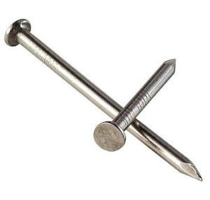 NAIL STAINLESS STEEL 3" - SS10
